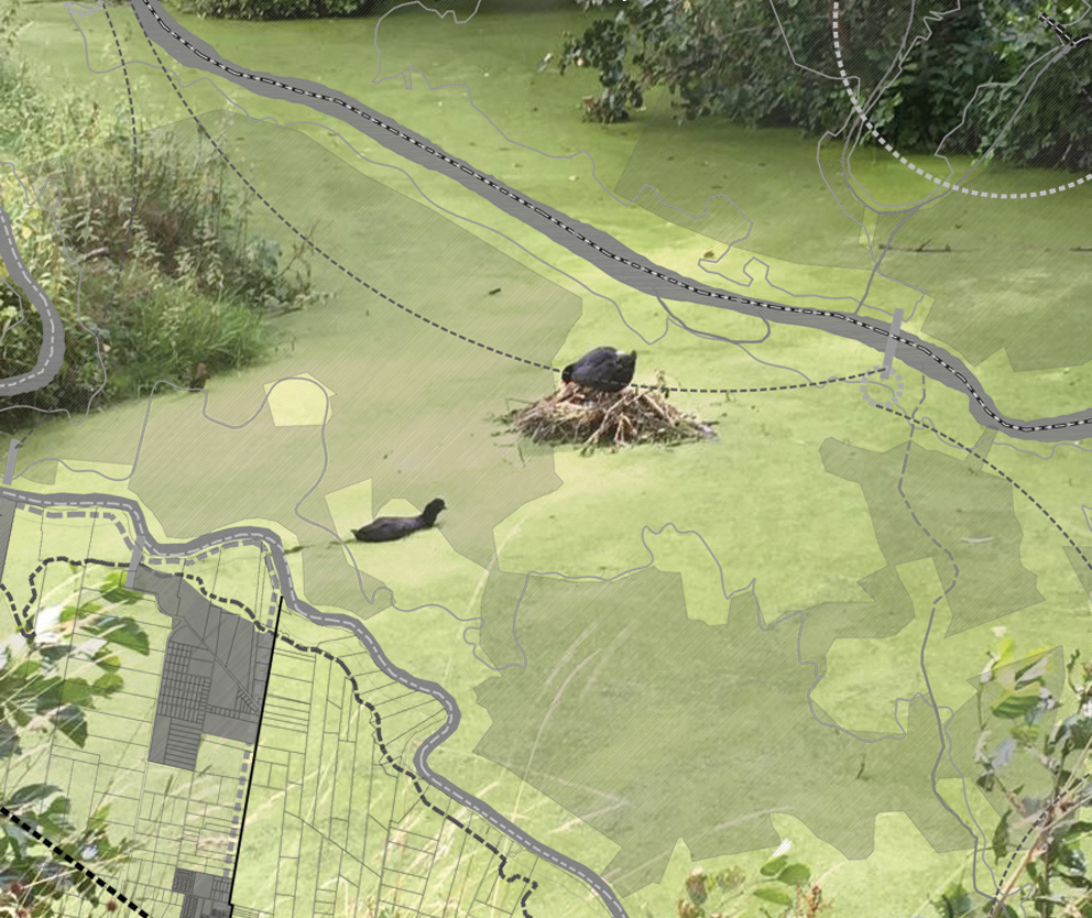Zarate and the Delta Footprint